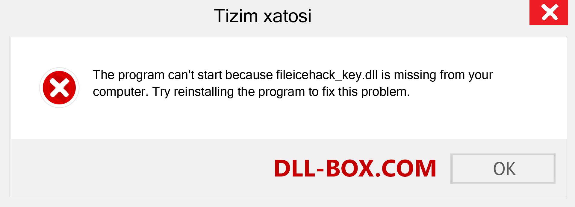 fileicehack_key.dll fayli yo'qolganmi?. Windows 7, 8, 10 uchun yuklab olish - Windowsda fileicehack_key dll etishmayotgan xatoni tuzating, rasmlar, rasmlar